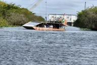 Miami Everglades Airboat Tour with Gator Encounter thumbnail 5