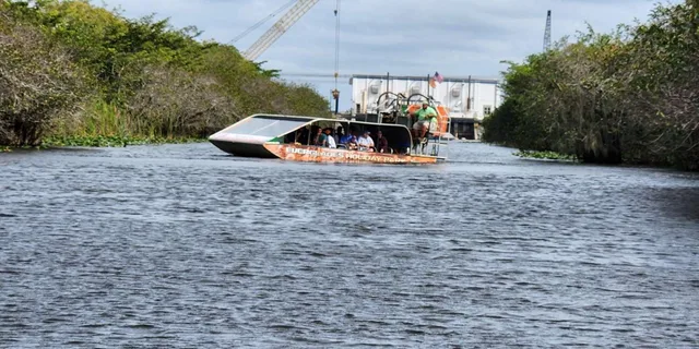 Miami Everglades Airboat Tour with Gator Encounter - Image 5