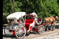 New York Holiday Lights Horse Carriage Ride thumbnail 5
