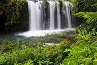 Maui Road to Hana Rainforest & Waterfall Tour thumbnail 2