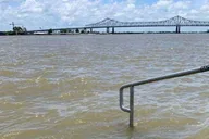 New Orleans Water History Tour thumbnail 2
