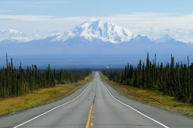 Anchorage Alaskan Highlights Tour Denali to Kenai Fjords - Image 3