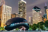 Chicago Private Walking Tour with a Local thumbnail 1