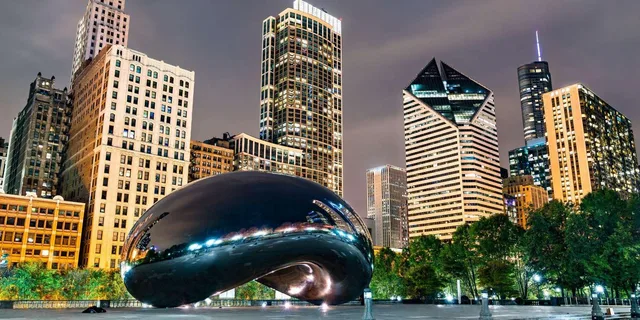 Chicago Private Walking Tour with a Local - Image 1