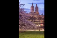 New York Central Park Rickshaw and Boat Tour thumbnail 3