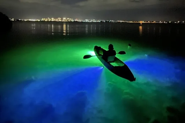 Sarasota Glass Bottom Kayak LED Night Tour - Image 3