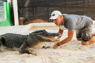 Miami Everglades Airboat Tour thumbnail 5