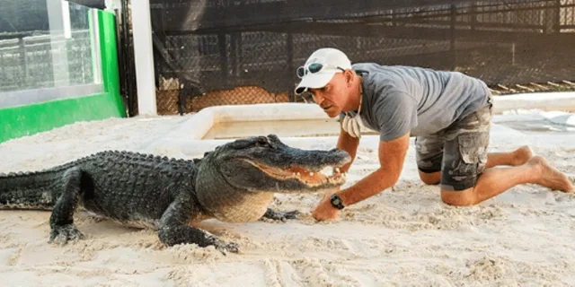 Miami Everglades Airboat Tour - Image 5