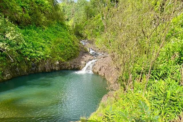 Maui Road to Hana Private Tour - Image 4