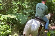 Miami Horseback Riding in South Beach 1 hr thumbnail 3