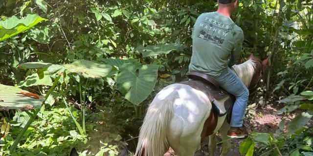 Miami Horseback Riding in South Beach 1 hr - Image 3