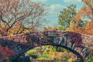 New York Central Park Walking Tour thumbnail 4