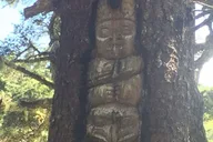 Juneau Taste of Alaska Tour thumbnail 3