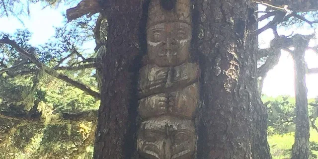 Juneau Taste of Alaska Tour - Image 3