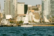 San Diego Morning Sailing Tour thumbnail 1