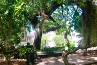 Savannah Walking Tour of Highlights and Hidden Gems 2 hr thumbnail 2