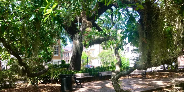 Savannah Walking Tour of Highlights and Hidden Gems 2 hr - Image 2