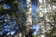 Savannah Kids Walking Movie Tour thumbnail 3