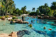 Orlando Discovery Cove Admission & Parks thumbnail 1