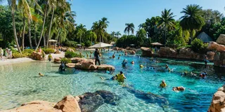 Orlando Discovery Cove Admission & Parks