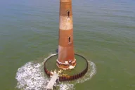 Charleston Morris Island Dolphin Cruise thumbnail 4