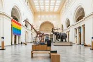 Chicago Field Museum of Natural History Tour thumbnail 5