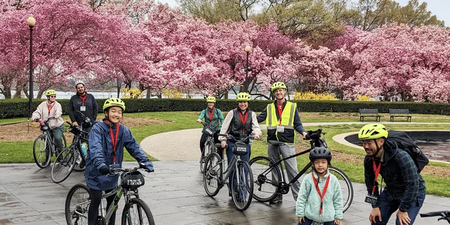Washington DC Cherry Blossom Bike Tour - Image 3