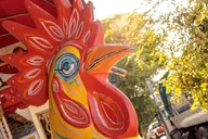 Miami Cultural Tour of Little Havana thumbnail 4