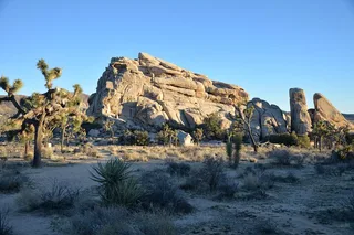 Los Angeles Joshua Tree National Park Private Tour 2-Day