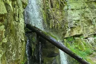 Gatlinburg Smoky Mountains Waterfall Hike 3.5 hr thumbnail 2