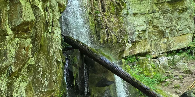 Gatlinburg Smoky Mountains Waterfall Hike 3.5 hr - Image 2