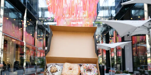 Washington DC Donut and History Walking Tour - Image 4