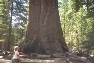 Las Vegas to San Francisco National Parks Tour thumbnail 5