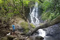 Oahu Waterfall Hike Adventure thumbnail 2