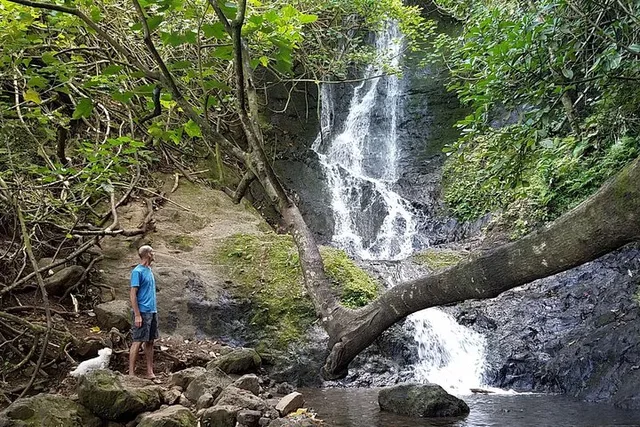 Oahu Waterfall Hike Adventure - Image 2
