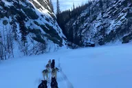 Fairbanks Husky Adventure with Your Own Dog Team 5 Days thumbnail 5