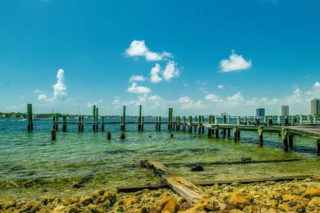 Riviera Beach Peanut Island Adventure - Image 3