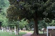Charlotte Historic Uptown Segway Tour 1.5 hr thumbnail 6