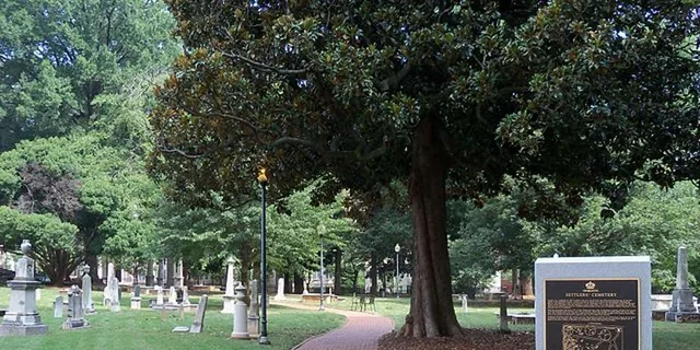 Charlotte Historic Uptown Segway Tour 1.5 hr - Image 6