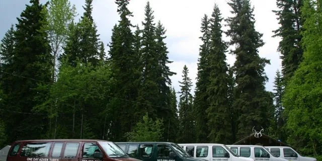 Fairbanks Denali Shuttle Service - Image 2