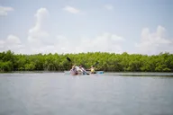 New Smyrna Beach Clear Kayak Tour thumbnail 6