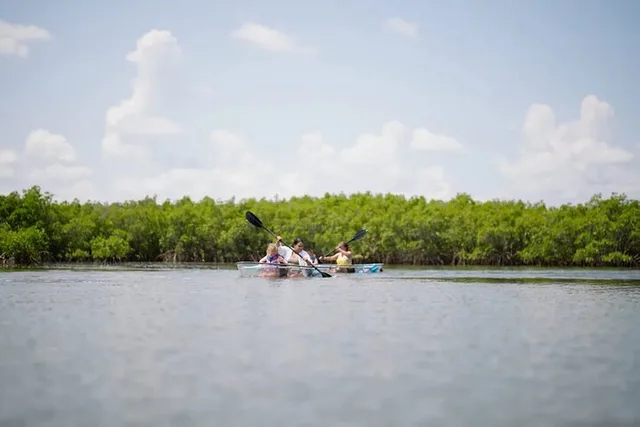 New Smyrna Beach Clear Kayak Tour - Image 6
