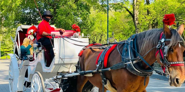 New York City Central Park Horse and Carriage Tour - Image 2