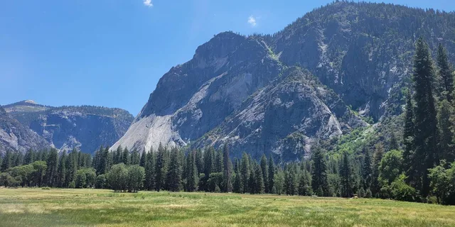Los Angeles Yosemite and Sequoia National Parks 2-Day Trip - Image 4
