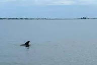Cocoa Beach Pontoon Sunset Cruise thumbnail 6