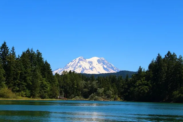 Seattle Hiking Tour in Mount Rainier - Image 2