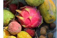 Kona Exotic Fruit Tasting Tour 1.5 hr thumbnail 2