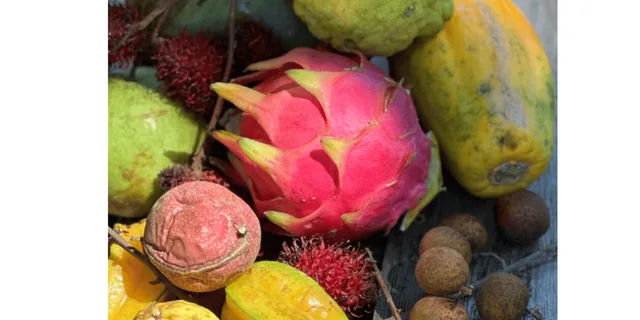 Kona Exotic Fruit Tasting Tour 1.5 hr - Image 2