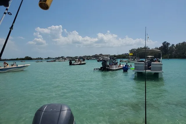 Englewood Sand Bar Adventure Boat Tour - Image 2