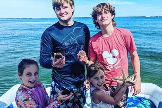 Panama City Dolphin Tour with Marine Biologist 3 hr
